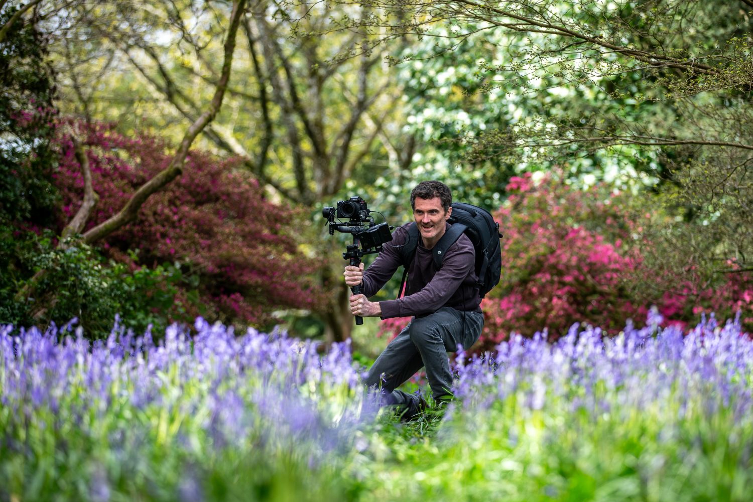 Filming at Forestry England site